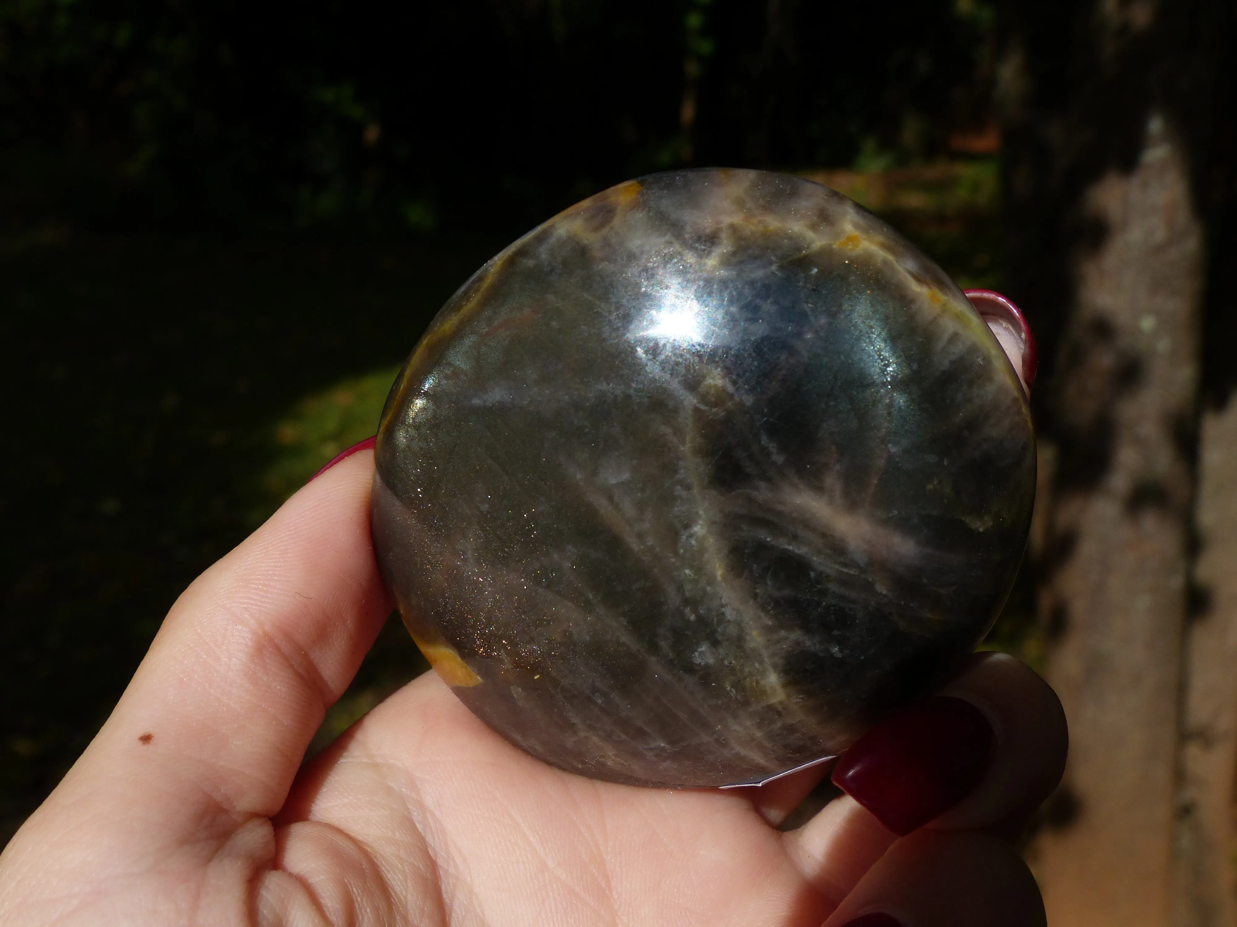 Black Moonstone Palm Stone with Olive Green FLASH! (#7)