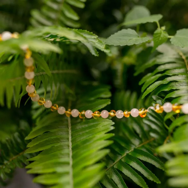 Rose Quartz   Honey Baltic Amber Jewelry Extender